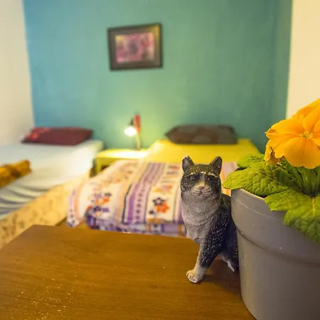 Хостел Shantihome