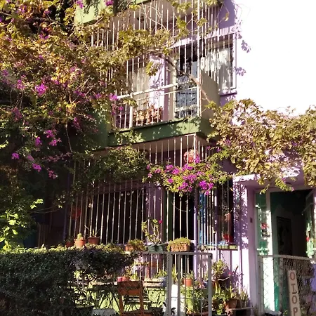 香缇鸿旅舍 * 伊兹密尔